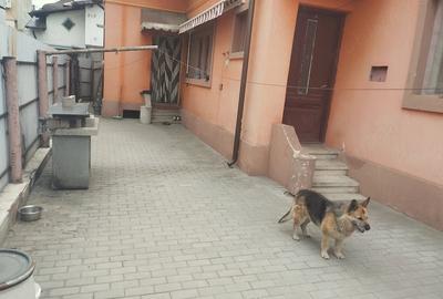 Casă cu 3 camere cu Teren 164 Mp în Central - 1
