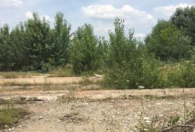 Teren de 500 mp, în Central - 1