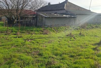 Teren Construcții intravilan de 3000 mp, în Poiana - 1