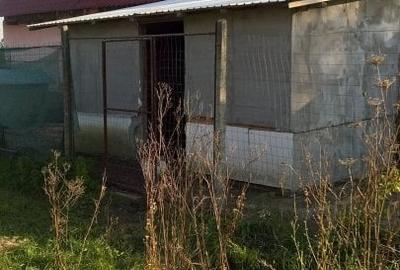 Casă cu 3 camere cu Teren 5002 Mp în Butimanu - 6
