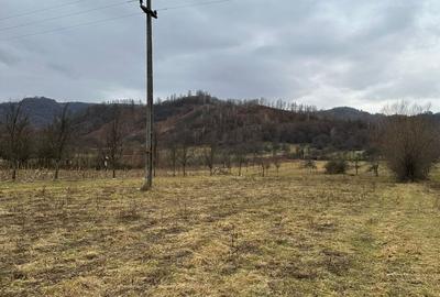 Teren în Măgura - 7