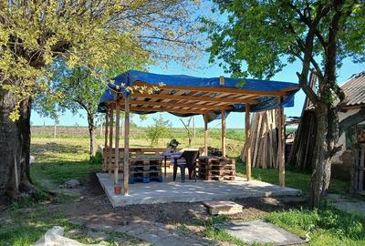 Casă cu 6 camere cu Teren 1600 Mp în Siliștea - 8