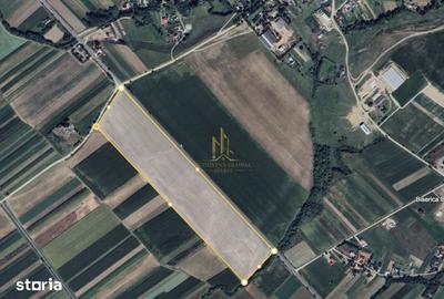 Teren de 120800 mp, în Fălticeni - 3