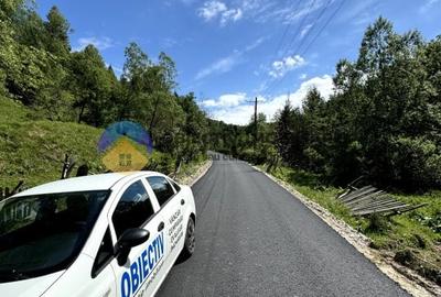 Teren intravilan de 5777 mp, în Ceahlău