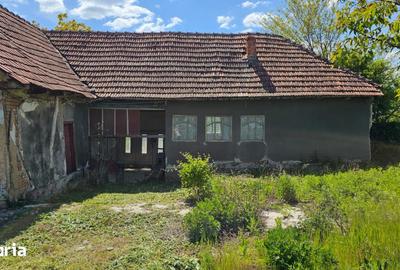 Casă cu 3 camere cu Teren 2880 Mp în Buteni