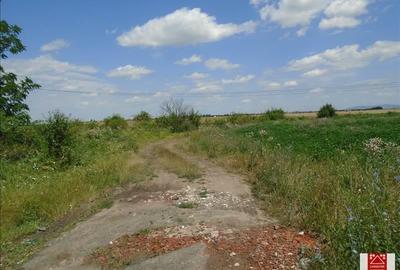 Teren agricol extravilan de 43784 mp, în Exterior Nord - 6