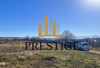 Teren de 873 mp, în Cristian - 7