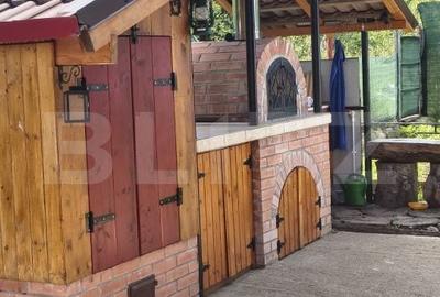 Casă cu Teren 1200 Mp în Viștea - 3
