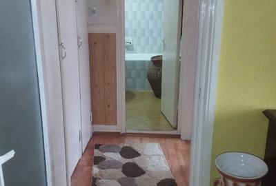 Apartament cu 2 camere semidecomandat în Prundu - 3
