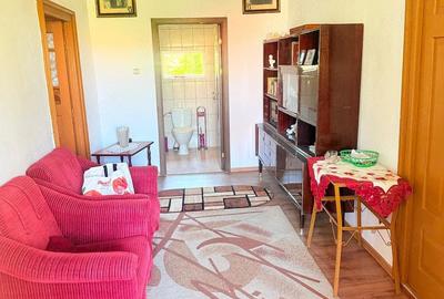 Casă cu 3 camere cu Teren 6400 Mp în Dealu Lăunele - 9