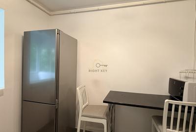 Apartament cu 3 camere semidecomandat, mobilat în Rahova - 10