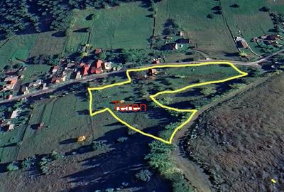Teren de 8000 mp, în Pojorâta - 4