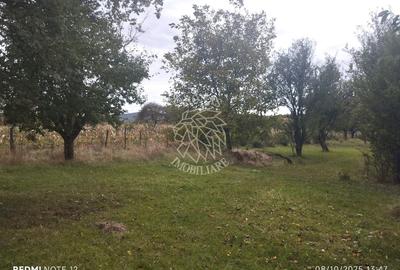 Teren Construcții intravilan de 1500 mp, în Mijlocenii Bârgăului - 2