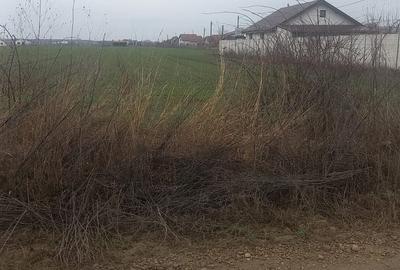 Teren de 491 mp, în Balotești