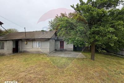 Casă cu 5 camere cu Teren 2566 Mp în Bolotești - 10