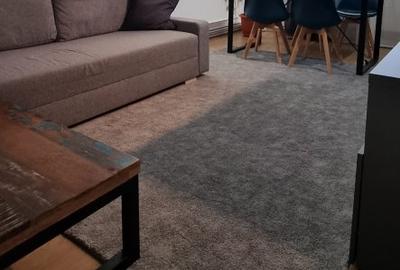Apartament cu 2 camere decomandat în Central - 2