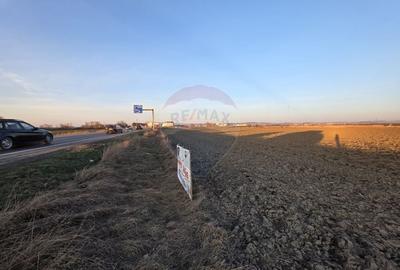 Teren agricol intravilan de 30000 mp, în Nord - 14