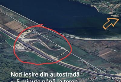 Teren de 2400 mp, în Merișani - 7
