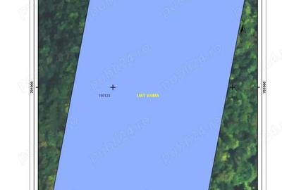 Teren de 10000 mp, în Vama - 2