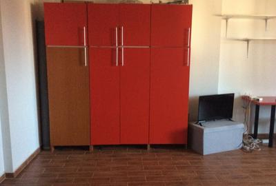 Apartament cu 2 camere decomandat în Roșu - 5