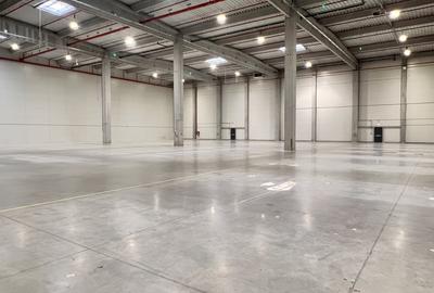 Spațiu industrial, de 2,610 mp, în Someșeni