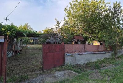 Casă cu Teren 800 Mp în Dăbâca - 2