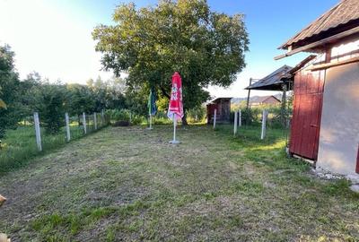 Casă cu 3 camere în Berbești - 1
