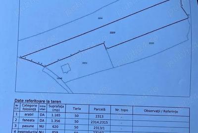 Teren de 4000 mp, în Ștubeiu - 5