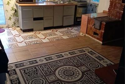 Casă cu 4 camere în Valea Plopilor