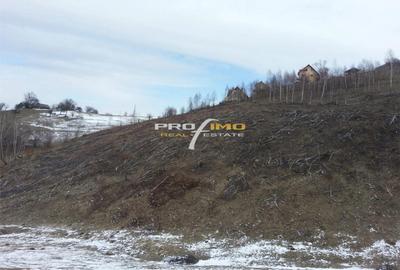 Teren de 3750 mp, în Moieciu - 2