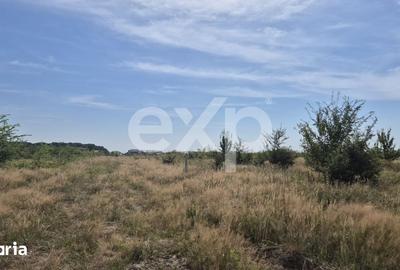 Teren de 500 mp, în Trivale