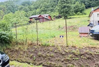 Teren Construcții intravilan de 6200 mp, în Tăuții-Măgherăuș - 2