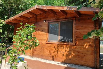 Casă cu 7 camere cu Teren 843 Mp în Central - 11