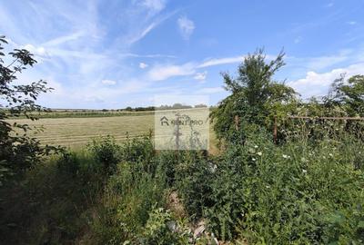 Teren agricol extravilan de 11000 mp, în Neajlovu - 17