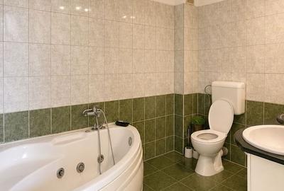 Apartament cu 2 camere în Buziașului