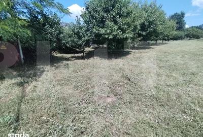 Teren de 3000 mp, în Curtești - 1