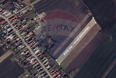 Teren agricol extravilan de 8166 mp, în Ghighiu - 3