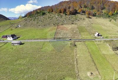 Teren Construcții intravilan de 4000 mp, în Fundata - 6