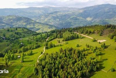 Teren de 11000 mp, în Albac - 2