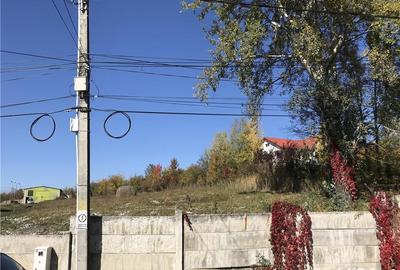 Teren de 4340 mp, în Cornu - 7