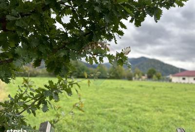 Teren de 1023 mp, în Alexandru cel Bun
