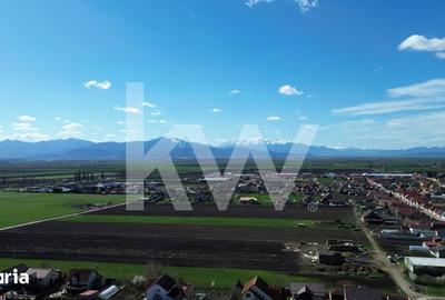 Teren de 447 mp, în Hălchiu - 7