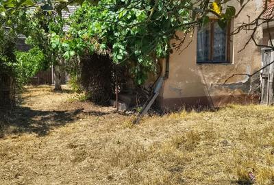 Casă cu 3 camere în Chesinț - 5