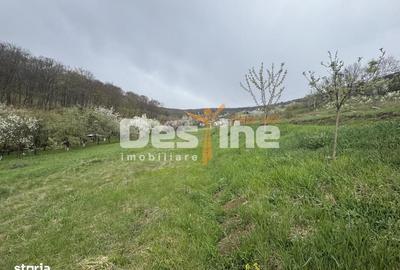 Spațiu comercial, în Central