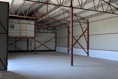 Spațiu comercial, de 300 mp, în Lețcani - 3