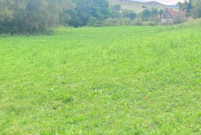Teren de 7100 mp, în Săcel