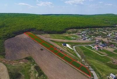 Teren Construcții intravilan de 500 mp, în Periferie