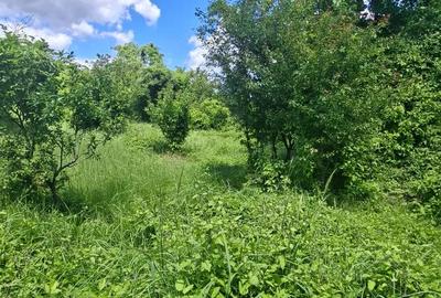 Teren de 5500 mp, în Vernești - 9