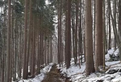 Teren de 67500 mp, în Valea