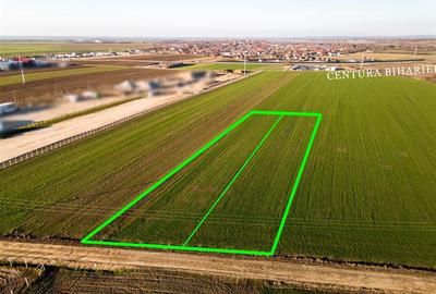 Teren intravilan de 5500 mp, în Biharia - 2